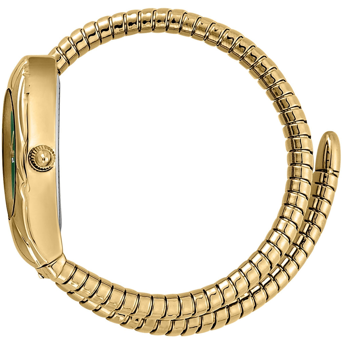 JUST CAVALLI SERPENTE PRESTIGIO JC1L182M0015